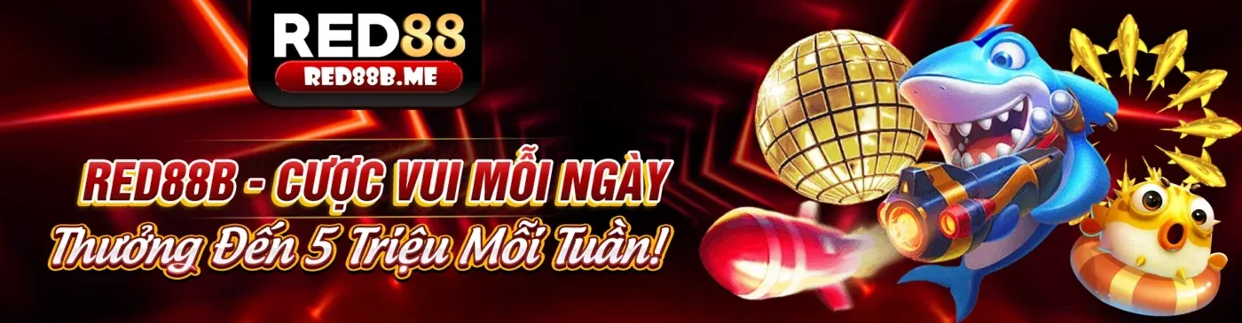 Nguyên tắc Giới hạn Lưu trữ của GDPR